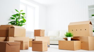 Downsizing Tips